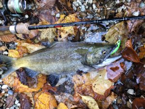 18 十和田湖のヒメマス つながろう 新しい 釣りの 世界へ Jointer