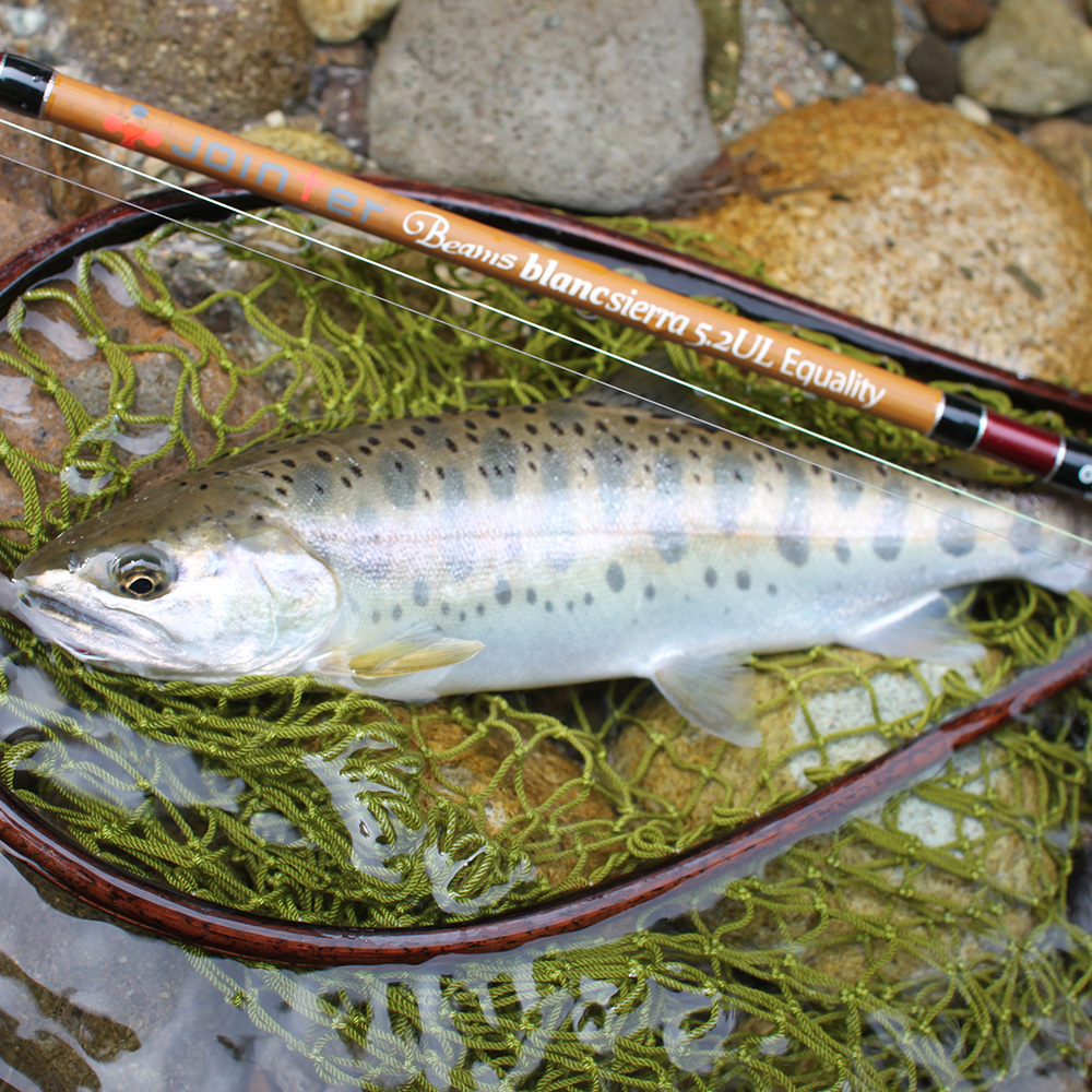 ロッドFishman beams blancsierra 5.2UL