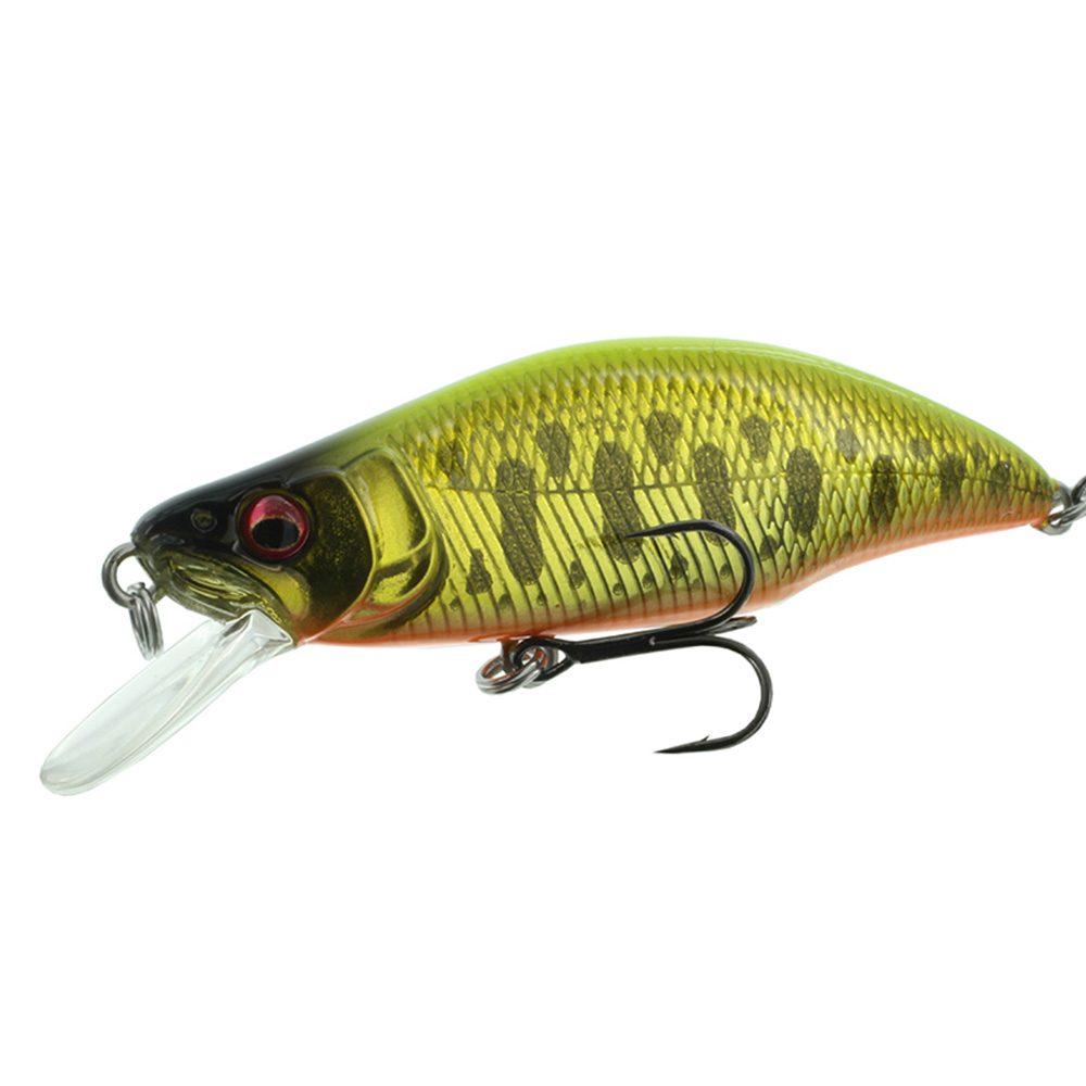 【ジョインター別注カラー】Megabass メガバス　GH51　ハンプバックFS