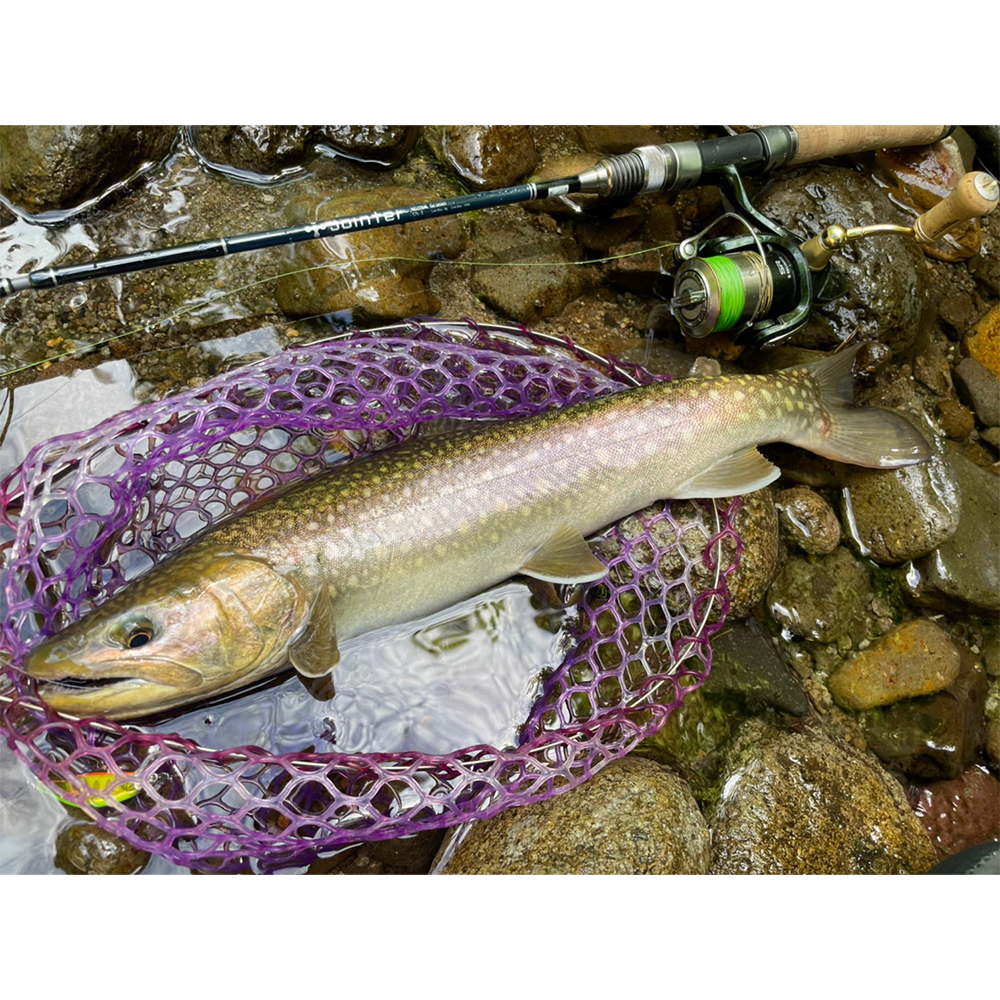 ※東北源流域の44ｃｍ大岩魚